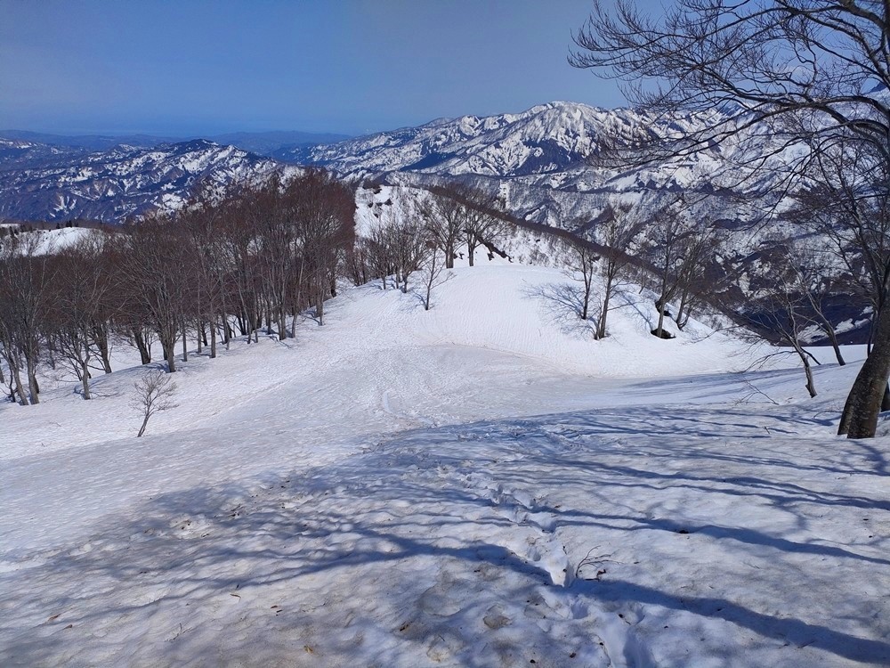 f:id:threepeaks:20220409234109j:plain