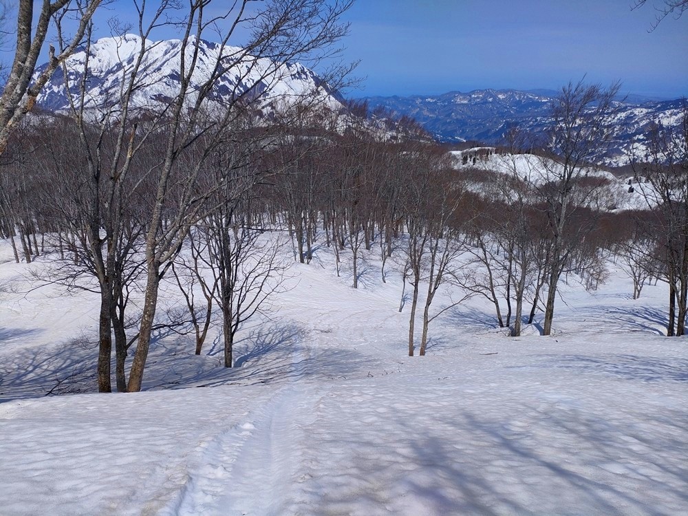 f:id:threepeaks:20220409234302j:plain