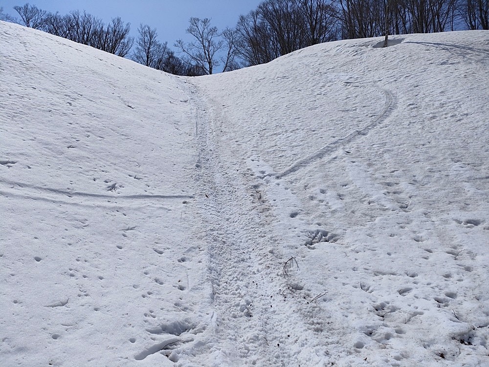 f:id:threepeaks:20220409234707j:plain