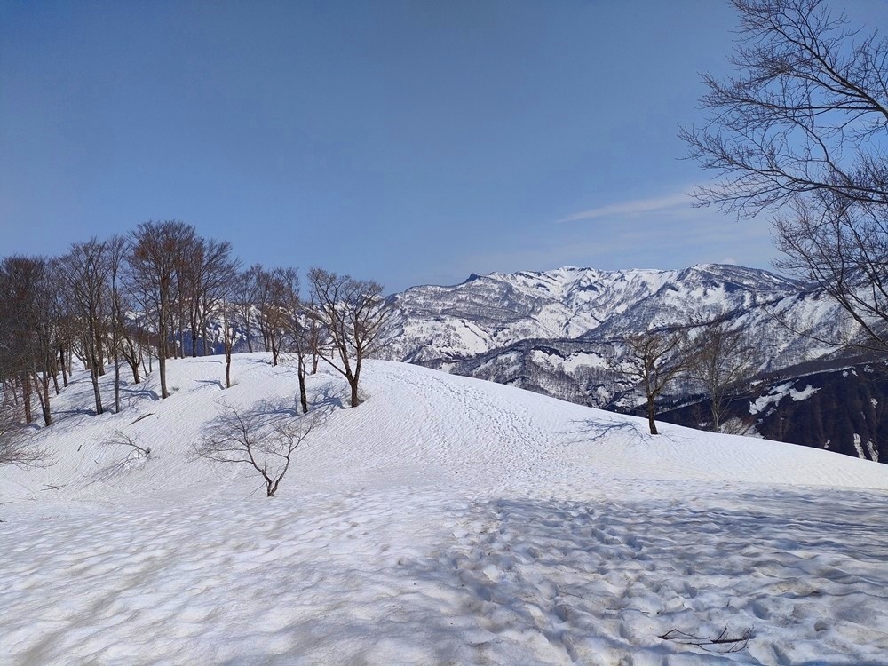 f:id:threepeaks:20220409235312j:plain