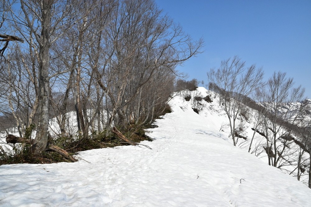 f:id:threepeaks:20220409235440j:plain