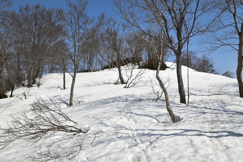 f:id:threepeaks:20220410001048j:plain