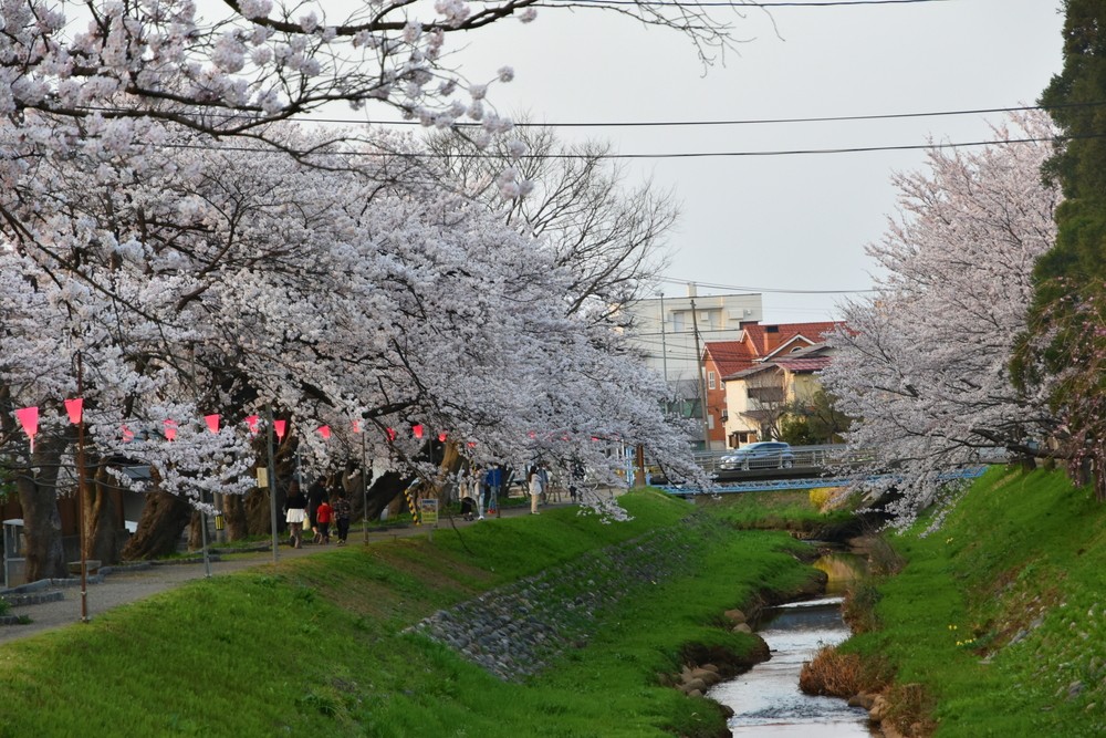 f:id:threepeaks:20220413220835j:plain