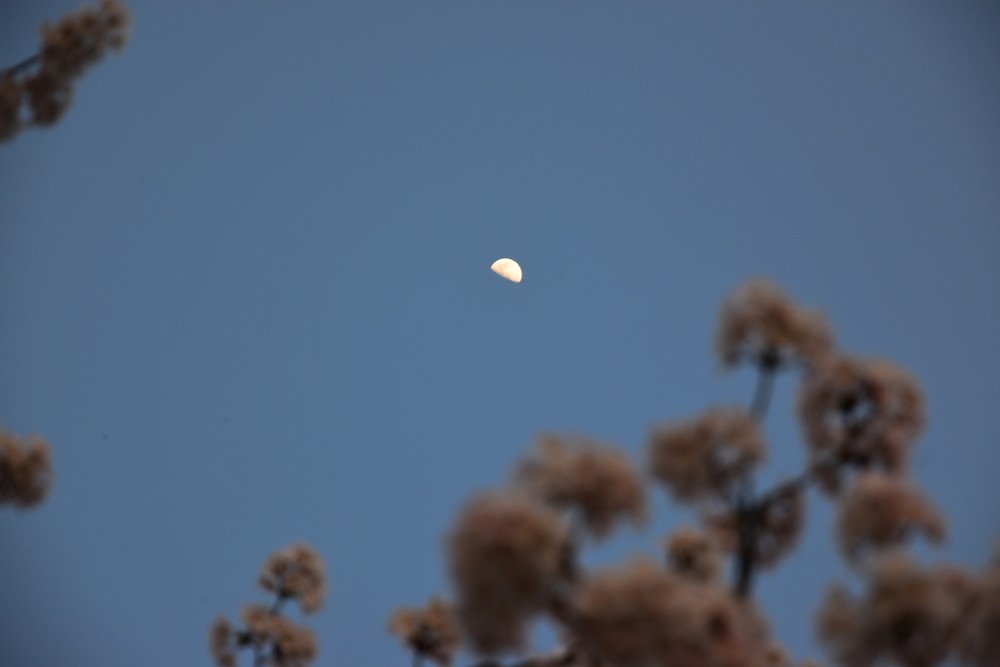 f:id:threepeaks:20220413223452j:plain