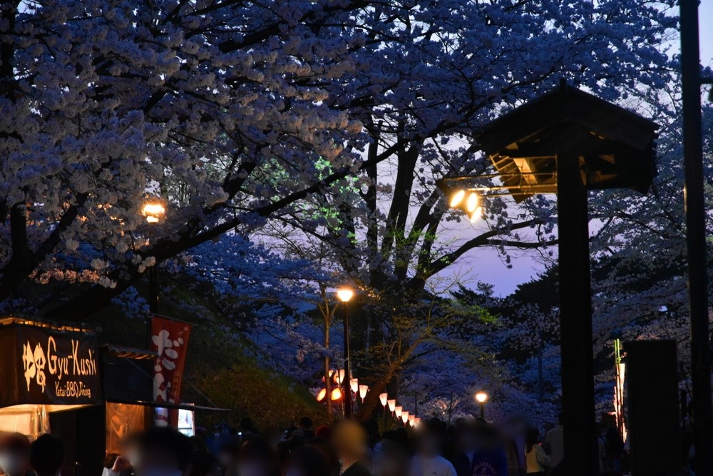 f:id:threepeaks:20220413223811j:plain