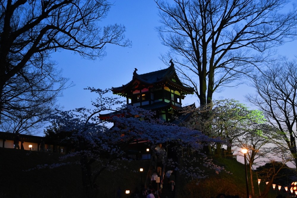 f:id:threepeaks:20220413223901j:plain