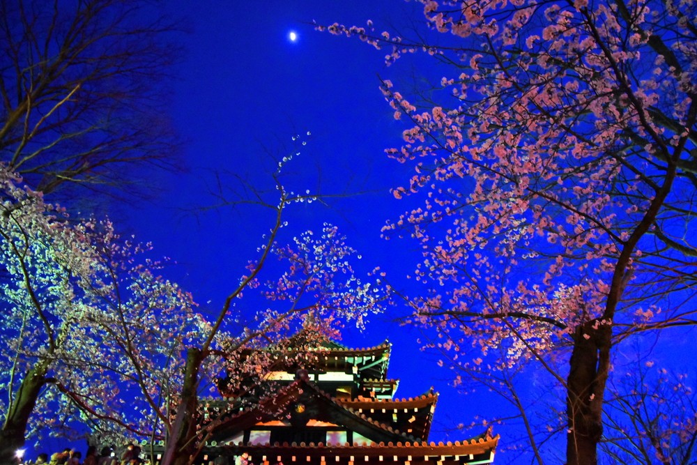 f:id:threepeaks:20220414202954j:plain