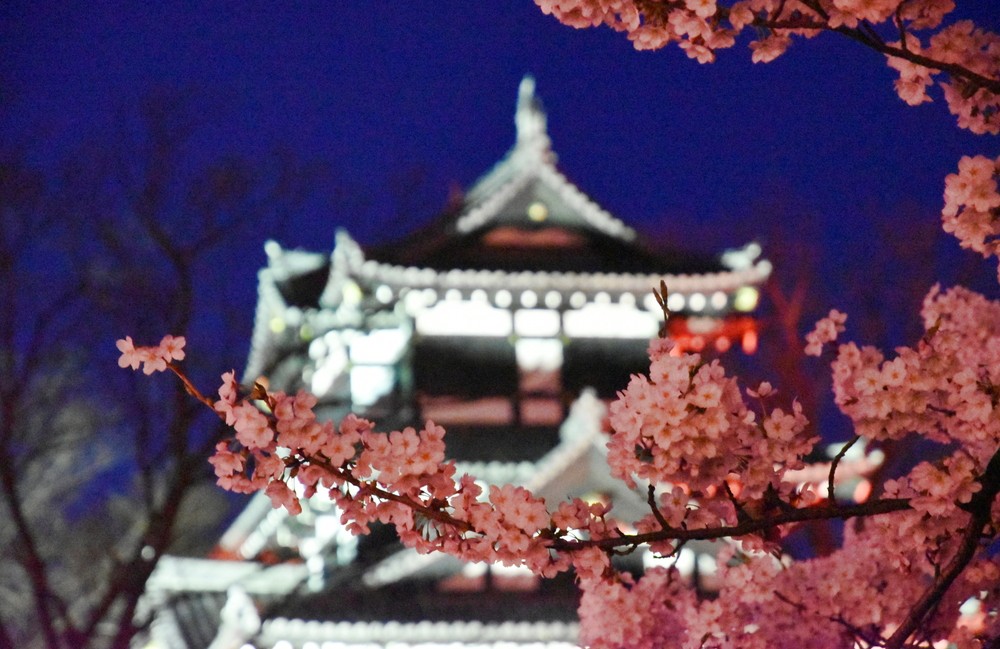 f:id:threepeaks:20220414203656j:plain