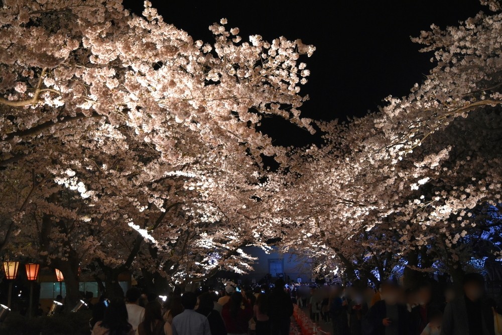 f:id:threepeaks:20220414205437j:plain