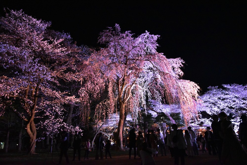 f:id:threepeaks:20220414205651j:plain