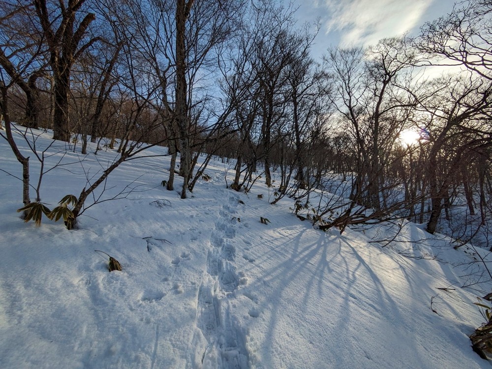 新潟と群馬の県境「三国山」で積雪期限定ルートを歩く - 3PEAKS