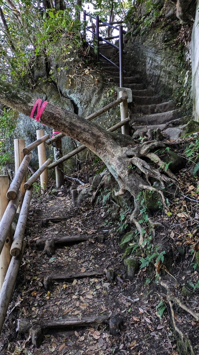 千葉県「鋸山」で採掘跡と東京湾の絶景、石仏巡りを楽しむ（浜