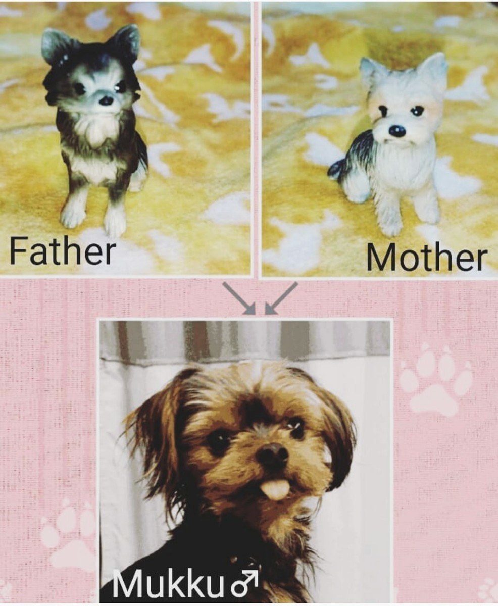 f:id:threestitches:20190720195141j:plain f:id:threestitches:20190720195141j:plain