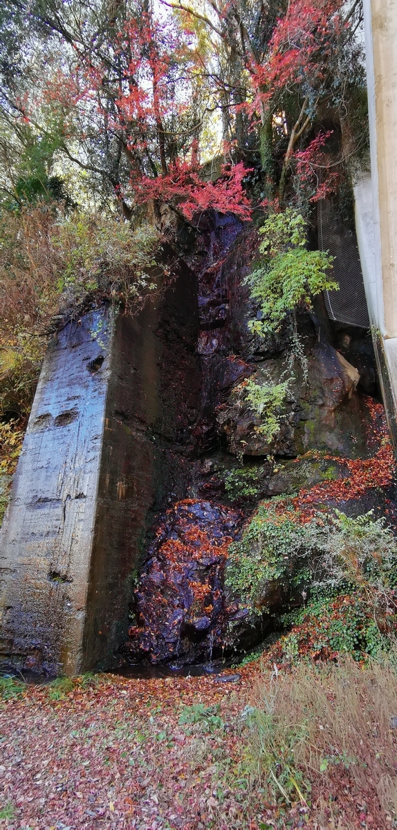 f:id:threetea0407:20211128234546j:plain