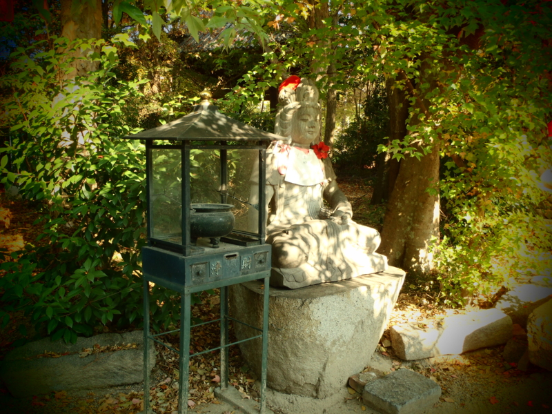 20101121132907