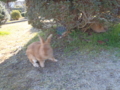 20110113103320