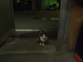 20110325235412