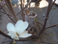 20110406074458
