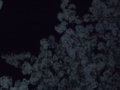 20110412020624