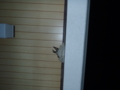 20110412030047