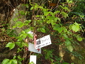 20110504064200