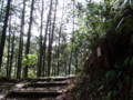 20110504091833