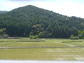 20110505123523