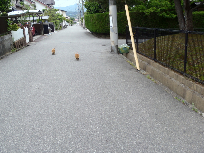 f:id:thtitdte-gmail-com:20110526153223j:image f:id:thtitdte-gmail-com:20110526153223j:image