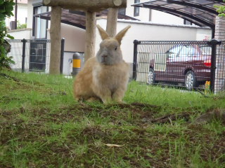 f:id:thtitdte-gmail-com:20110607152555j:image