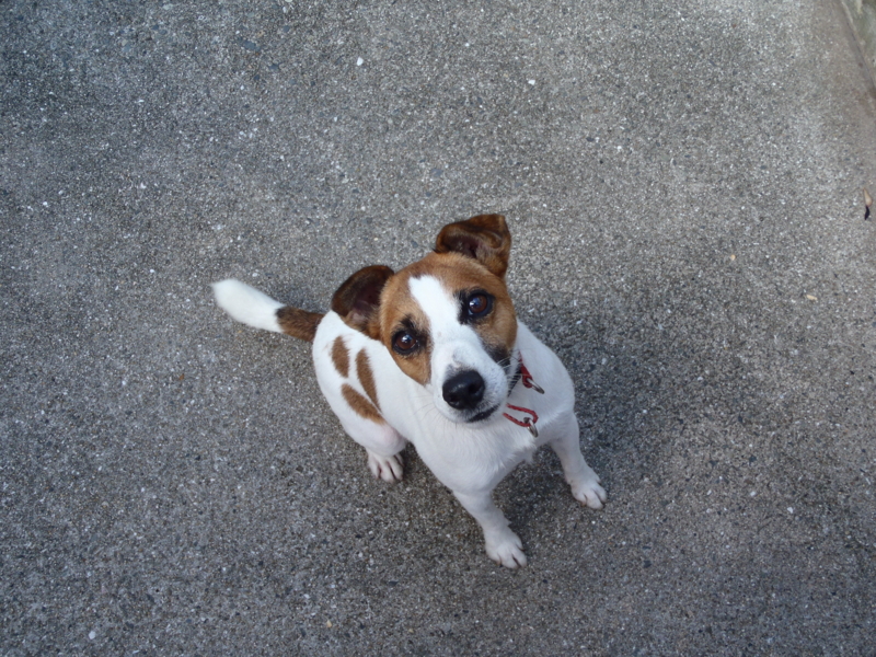 f:id:thtitdte-gmail-com:20110826151145j:image