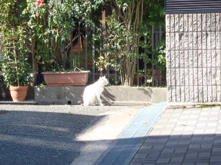 20110906151225
