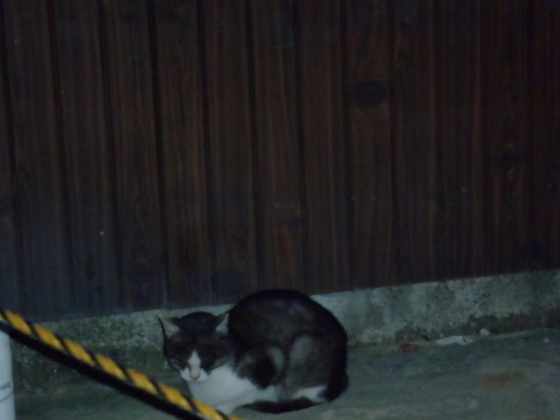 f:id:thtitdte-gmail-com:20110927000916j:image