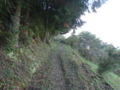 20111113092704