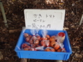 20111113110154