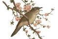 f:id:thtitdte-gmail-com:20120501110634j:image f:id:thtitdte-gmail-com:20120501110634j:image