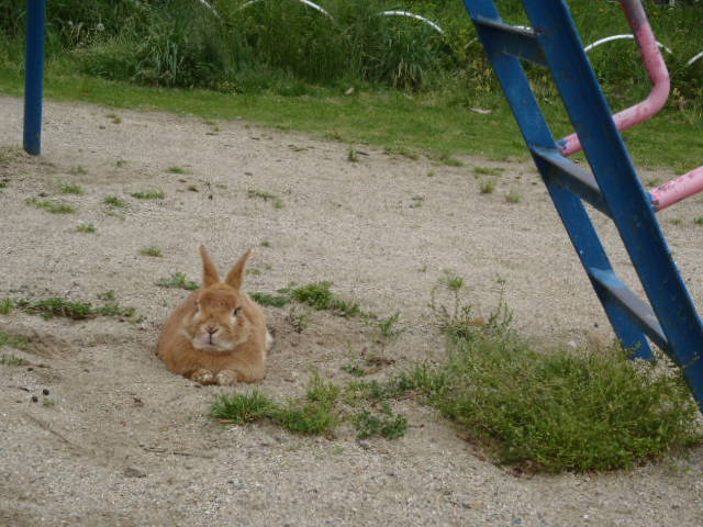 f:id:thtitdte-gmail-com:20120509153134j:image