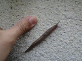 20120515153804