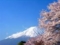 20130309173956