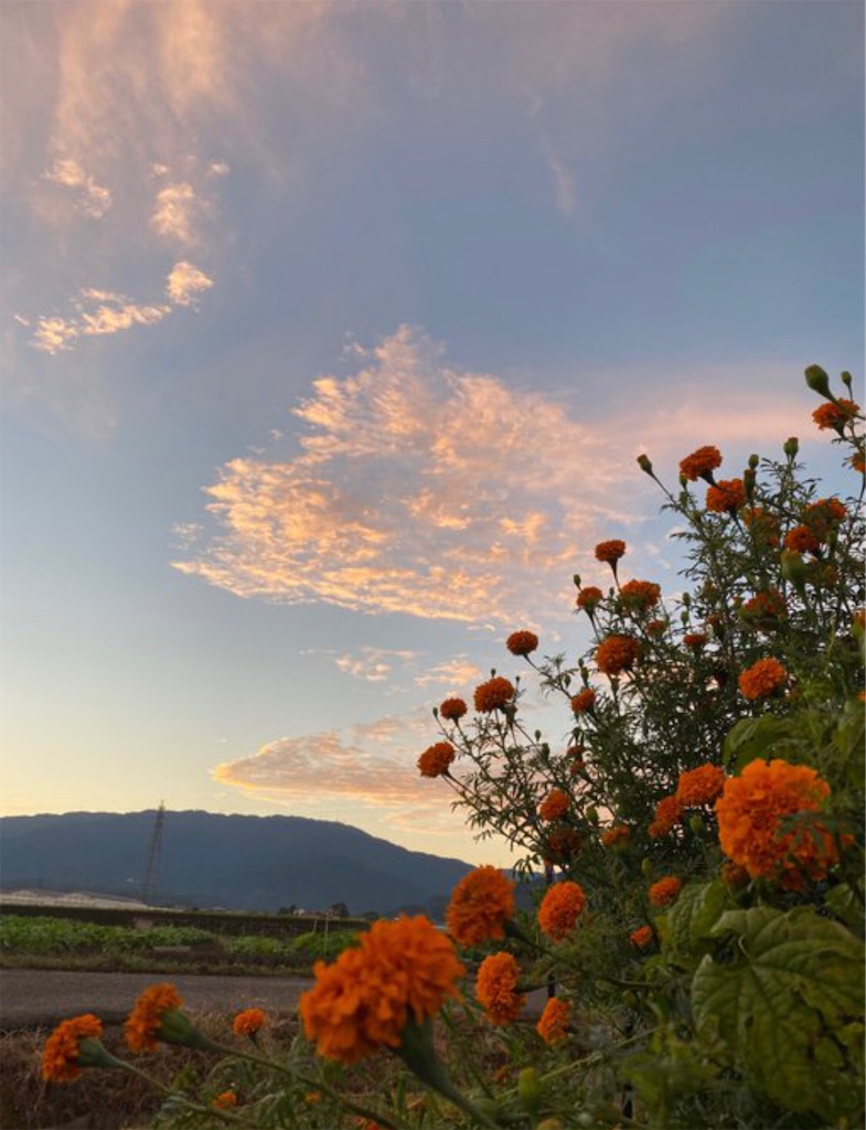 f:id:thtsn:20201024141956j:image f:id:thtsn:20201024141956j:image