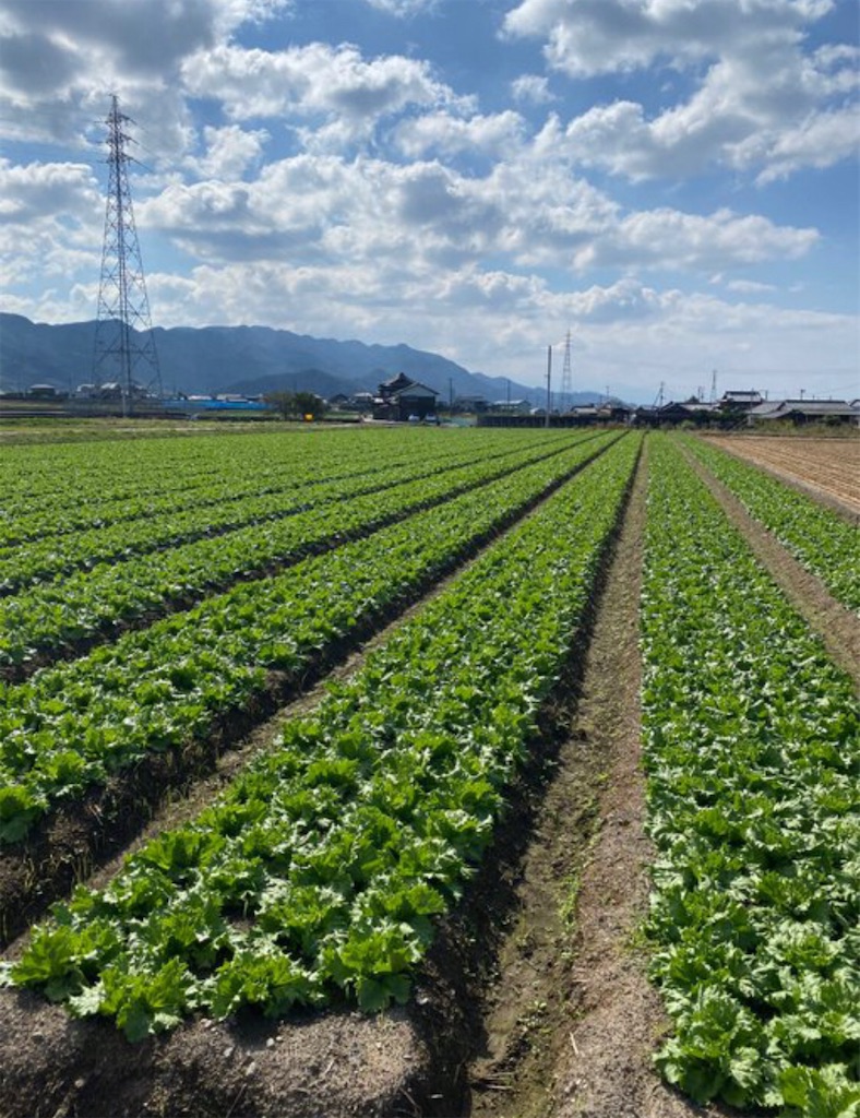 f:id:thtsn:20201031075828j:image f:id:thtsn:20201031075828j:image