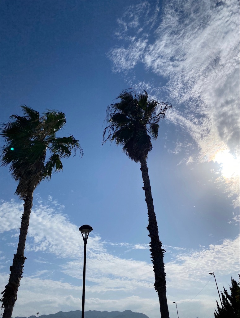 f:id:thtsn:20201113121924j:image f:id:thtsn:20201113121924j:image