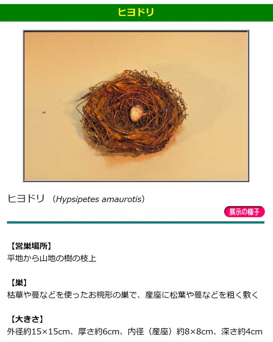 f:id:thukisora:20200429014530j:plain f:id:thukisora:20200429014530j:plain