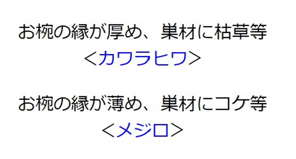 f:id:thukisora:20200429014536j:plain f:id:thukisora:20200429014536j:plain