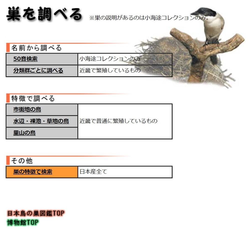 f:id:thukisora:20200429014548j:plain f:id:thukisora:20200429014548j:plain