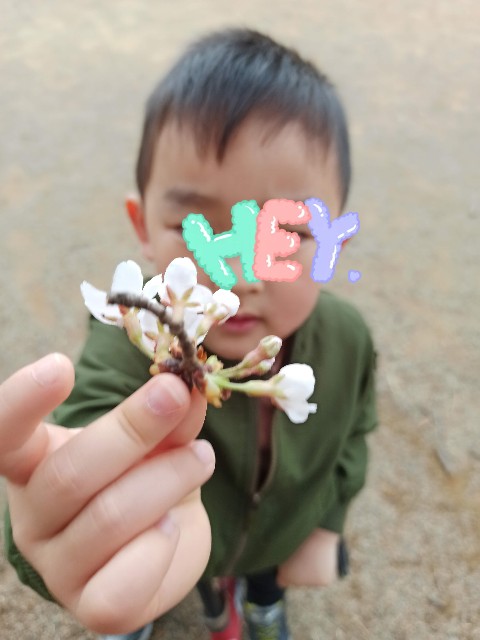 f:id:thunderbird-2:20210329075414j:plain