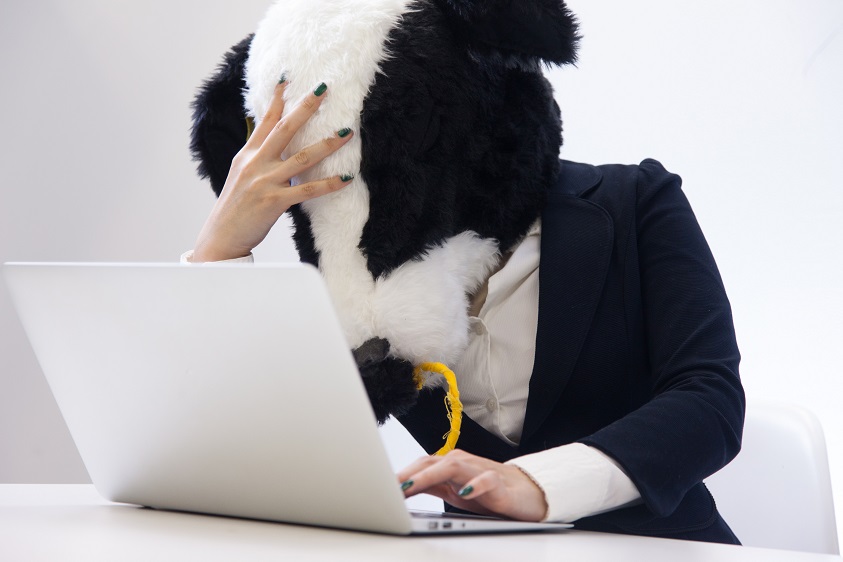 f:id:thurstar:20170605175914j:plain