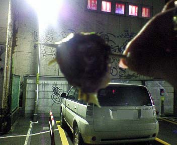 f:id:thyself2005:20070313205937j:plain:w300