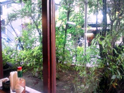 f:id:thyself2005:20111123101920j:plain