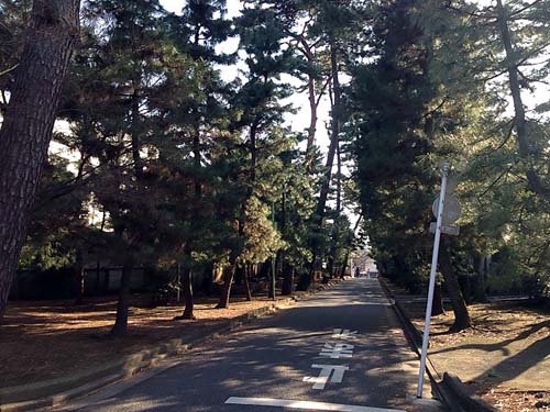 f:id:thyself2005:20140324023227j:plain