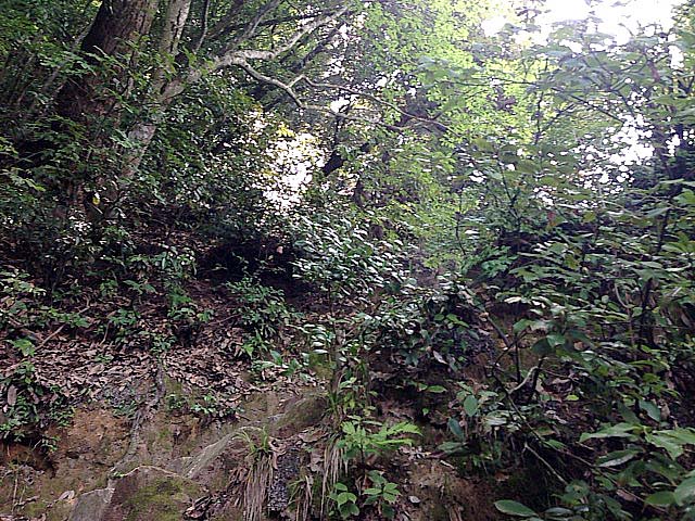 f:id:thyself2005:20140705042324j:plain